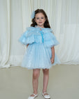 Sparkle Blue Dress Set